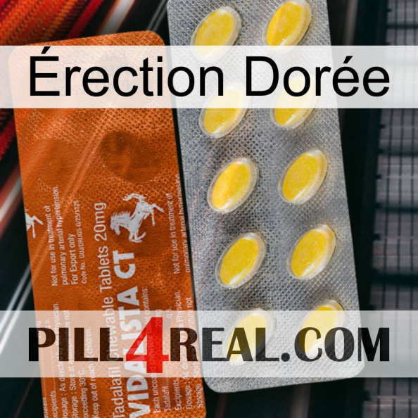 Érection Dorée 42.jpg